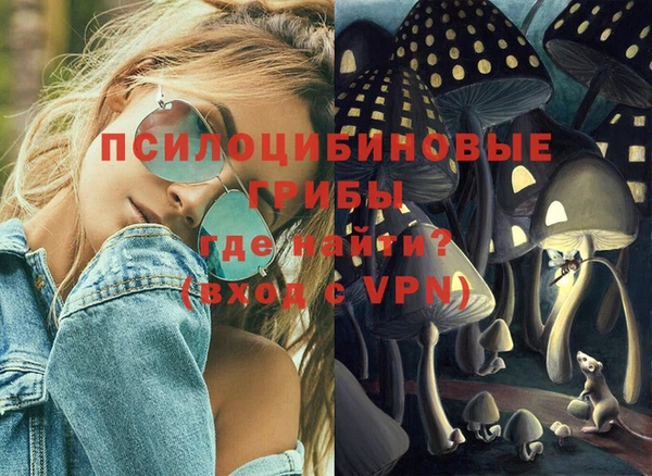 индика Нефтекумск