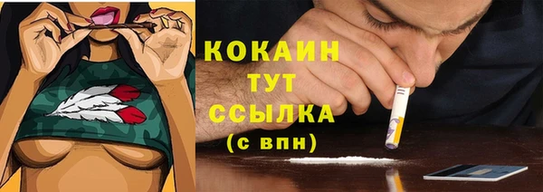 индика Нефтекумск