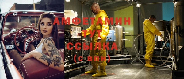 индика Нефтекумск
