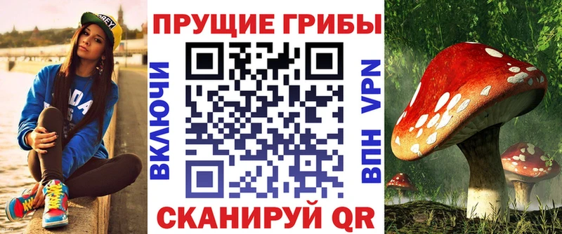 купить наркотики цена  Солигалич  Псилоцибиновые грибы мицелий 