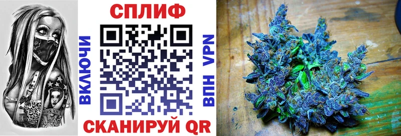 omg   Солигалич  Каннабис сатива 